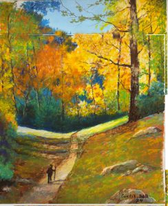 A Solitude Walk