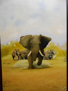 african-wildlife-series-001